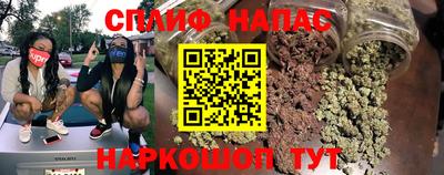 шишки Бузулук