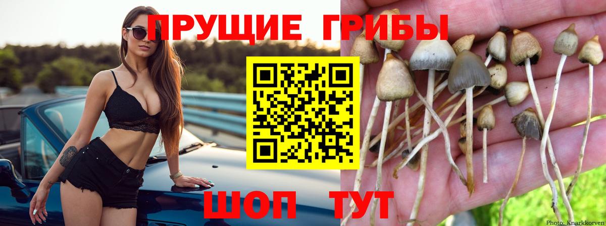 купить наркотики цена  Псилоцибиновые грибы мухоморы  Вход с VPN  Раменское 