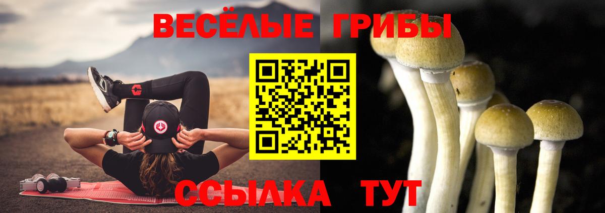 Псилоцибиновые грибы MAGIC MUSHROOMS Раменское
